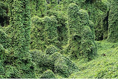 《怪物圣所》全新更新在主机平台推出